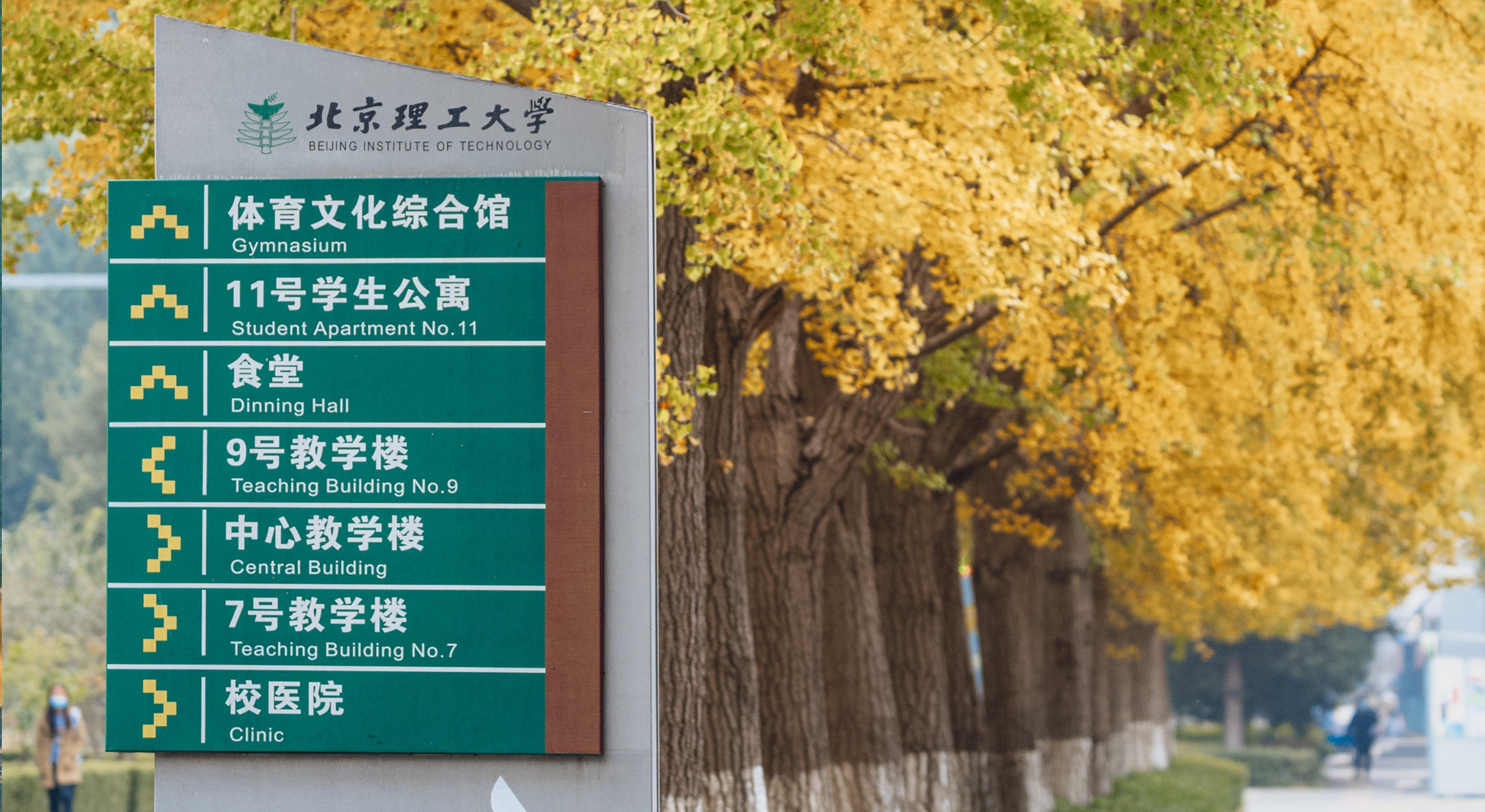 Autumn scenery on BIT campus