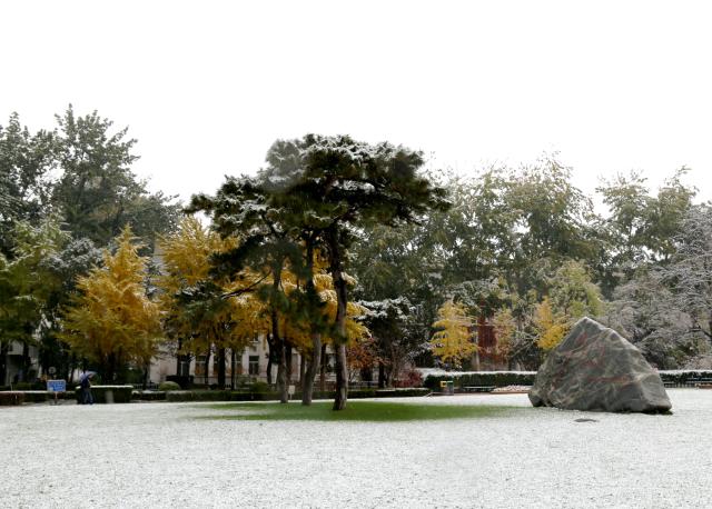 1698739412350089160.jpg 1698739412350089160.jpg