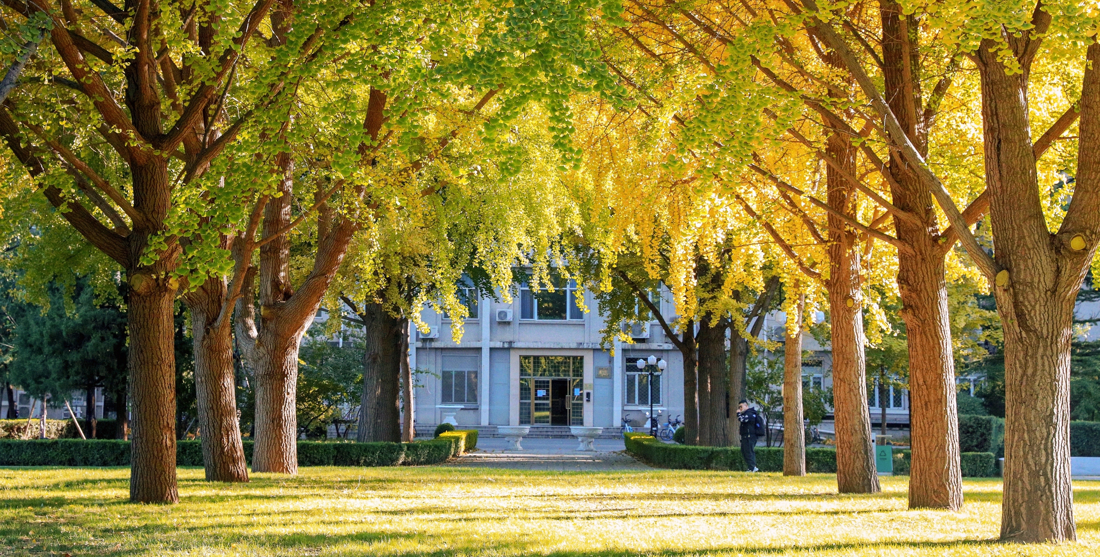 Overview of Beijing Institute of Technology