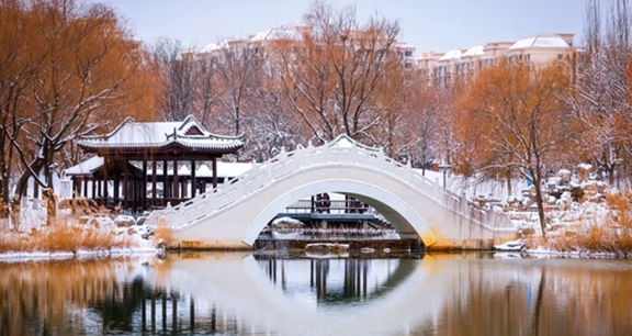 Spring snow in the Year of the Dragon awaits your return