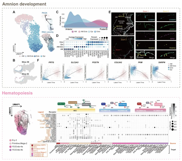 1714445034851016914.png 4.png