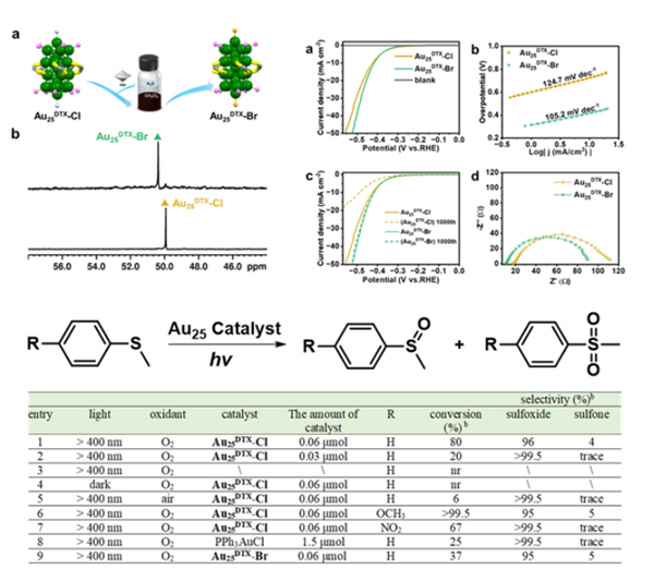 1715935373919048502.png 5.png