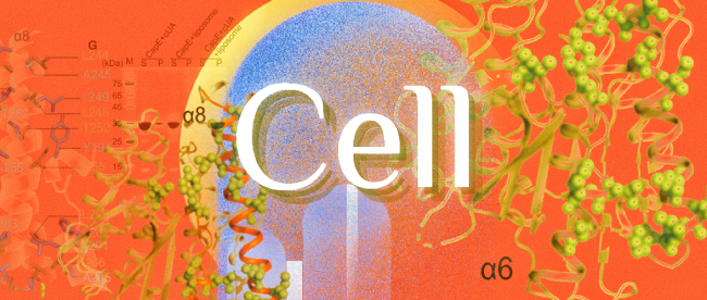 BIT team reveals new mechanism of bacterial immunity