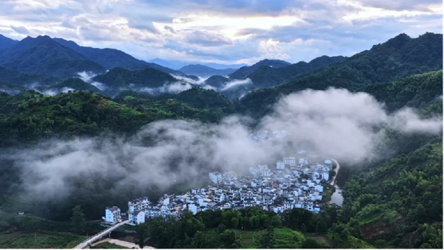 1754980918763014797.png 0beb1e3da83d4071867b94c489e8614d.png